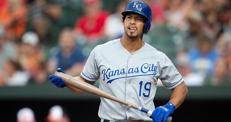 Cheslor Cuthbert define la importación de Samanes